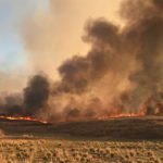 Incêndio atinge grande área de vegetação na cidade de Barro, no interior do Ceará