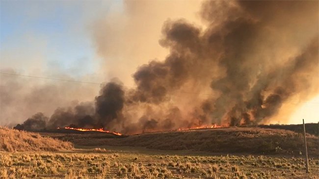 Incêndio atinge grande área de vegetação na cidade de Barro, no interior do Ceará