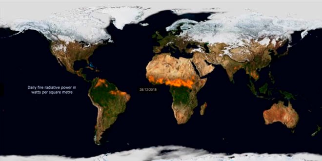 Vídeo mostra todos os incêndios florestais de 2019