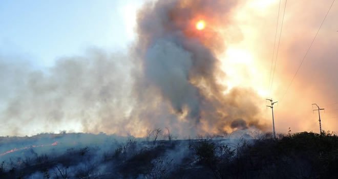 Sobral tem ocorrências de incêndio em vegetação próximo a empresas e centro educativo