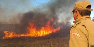Bombeiros combatem incêndios em vegetação em quatro municípios das regiões Norte e Inhamuns