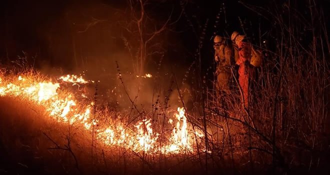 Incêndio de grandes proporções atinge área próxima a residências e granja em Santa Quitéria