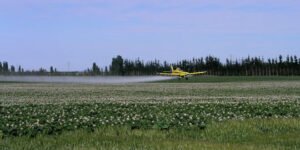 Aviões agrícolas ociosos para combater incêndios é projeto de lei