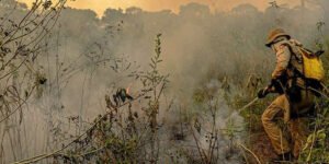 Combate ao fogo na Amazônia e Pantanal teve atraso de quatro meses