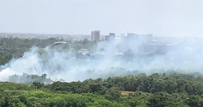 Incêndio atinge Parque do Cocó neste domingo