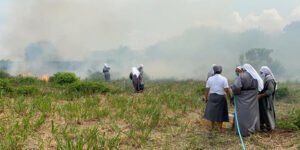 Monjas tentam apagar fogo em vegetação no Dias Macedo