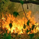 Acre tem 25 focos de incêndio em 2021, mais de 50% dos registros no Vale do Juruá