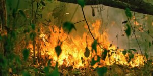 Acre tem 25 focos de incêndio em 2021, mais de 50% dos registros no Vale do Juruá