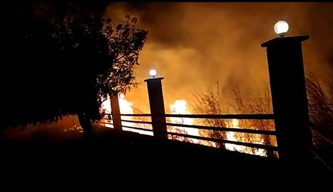 Incêndio atinge vegetação do Horto em Juazeiro do Norte