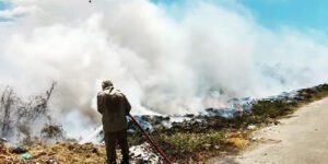 Bombeiros debelam incêndio florestal em Pacatuba; período é de alerta para ocorrências