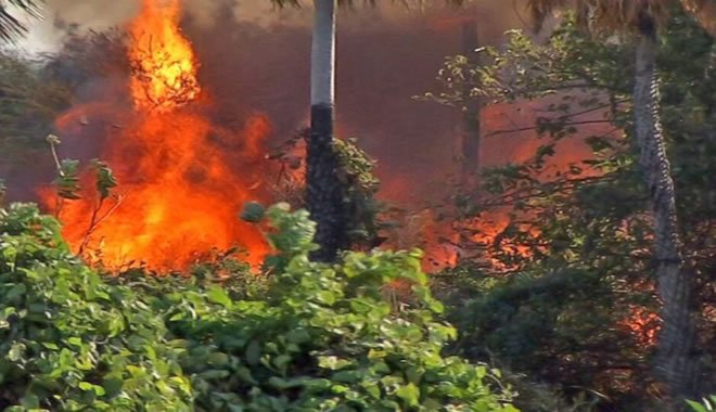 Incêndio em vegetação atinge terrenos no entorno de loja de rede atacadista em Fortaleza