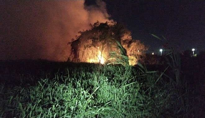 Incêndio atinge vegetação perto do Rio Cocó, em Fortaleza, e fumaça é vista em bairros vizinhos