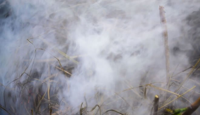 Incêndios florestais nos Estados Unidos causam mais de 19 mil casos de COVID-19 e têm relação com 700 mortes decorrentes da doença